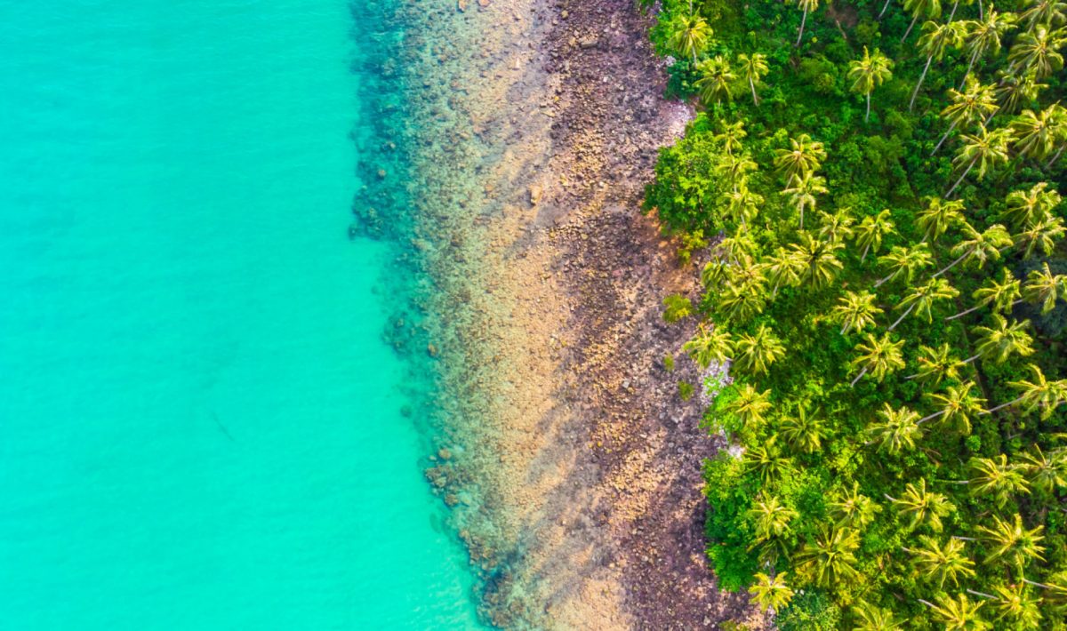 Découvrez la beauté naturelle de Tahiti et des Seychelles lors de vos prochaines vacances