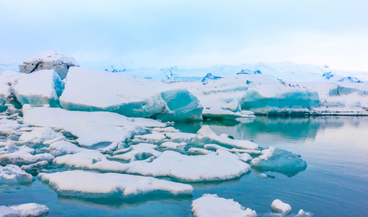 Croisière en antarctique tout compris : planifier sans surprise financière