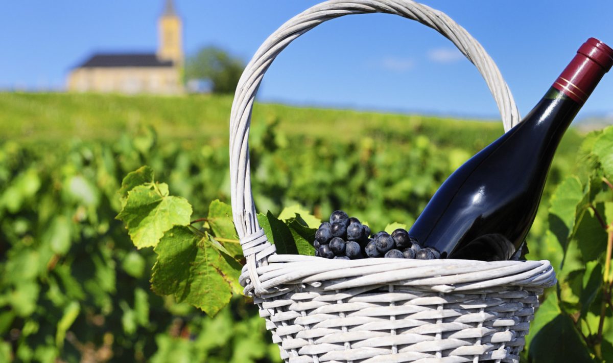 Vins de Loire : tout savoir sur une région viticole d’exception